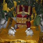 Vraj-Yatra-2014- (2073)